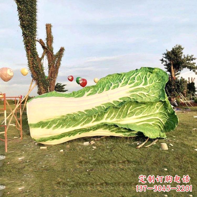 贵阳新鲜白菜“精致生活”系列