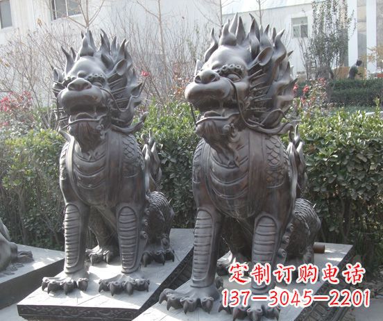贵阳“霸气雄狮”