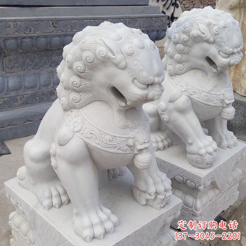 贵阳新“北京狮之威”