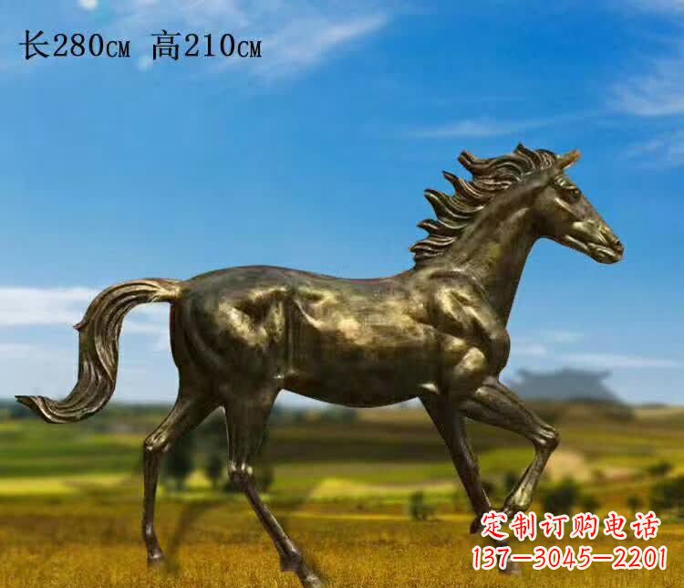 贵阳新马之精髓
