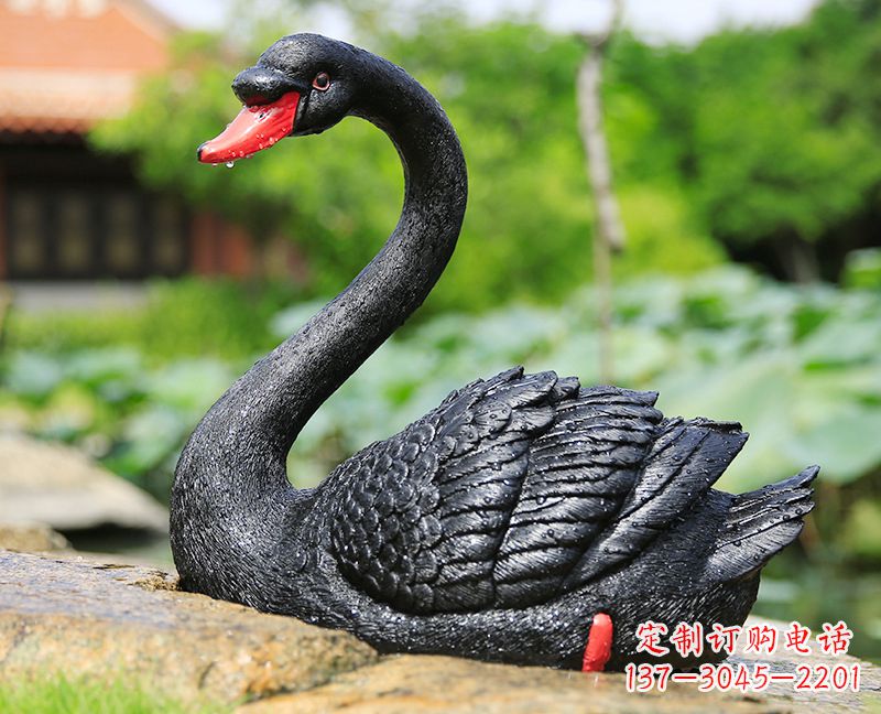 贵阳玻璃钢雕刻的黑色天鹅——美丽宁静的公园园林摆件