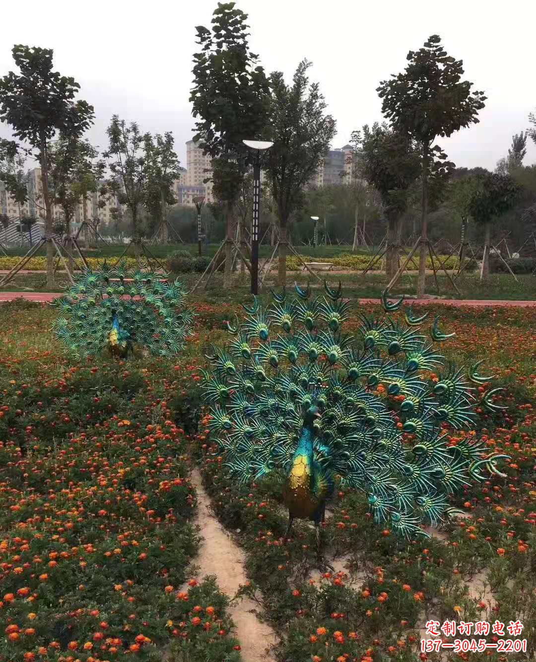 贵阳不锈钢彩绘孔雀雕塑