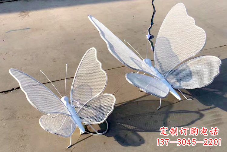 贵阳不锈钢钢丝网格蝴蝶雕塑——灯光下的灵动之美