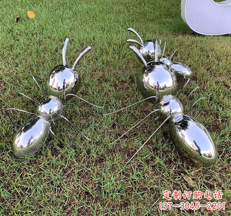 贵阳不锈钢蚂蚁雕塑艺术的精美表现