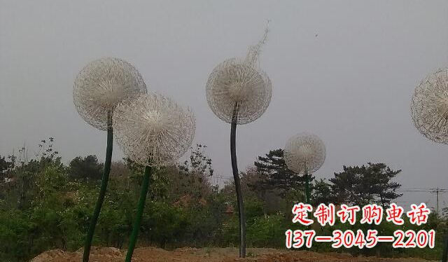 贵阳蒲公英的绚丽多彩