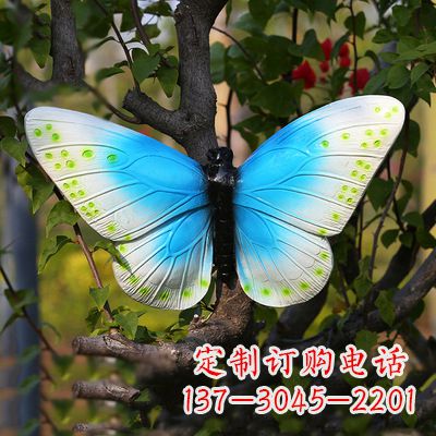 贵阳精致风韵，蓝白蝴蝶雕塑