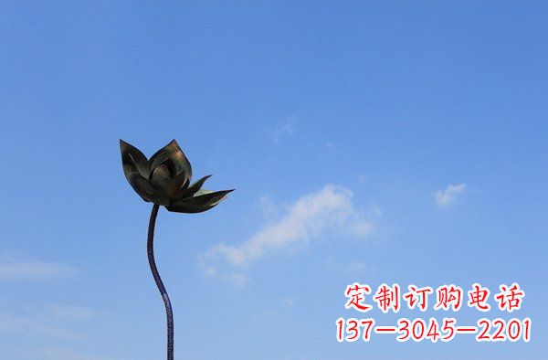 贵阳公园不锈钢荷花雕塑