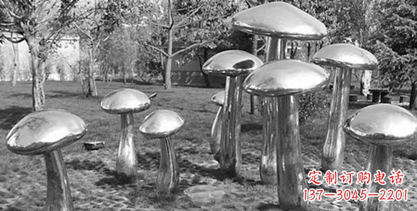 贵阳萌芽之美,蘑菇景观雕塑
