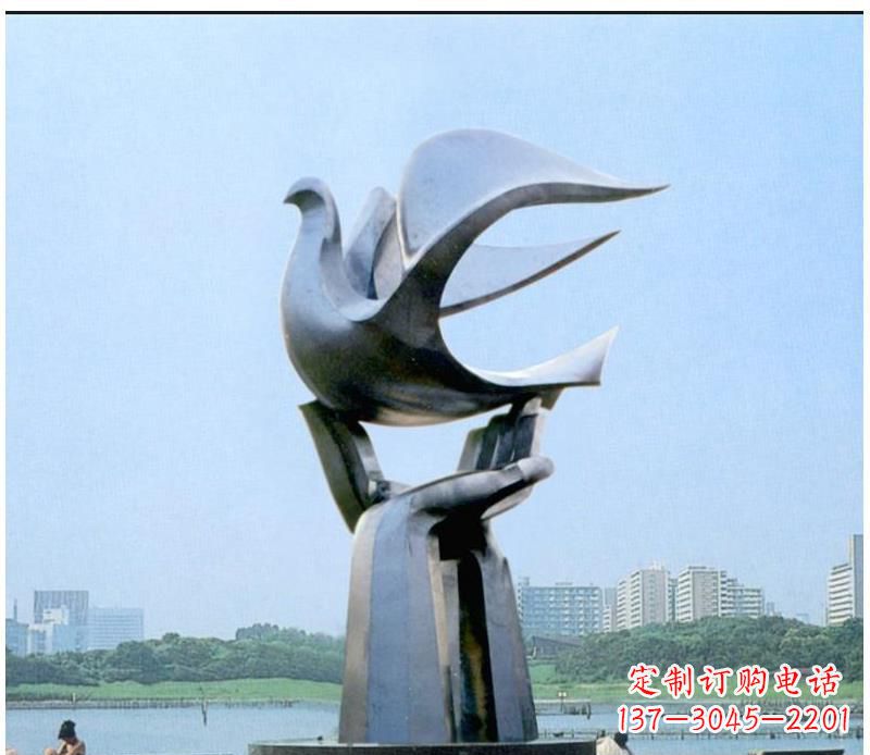 贵阳静谧之鸽,传递和平象征~