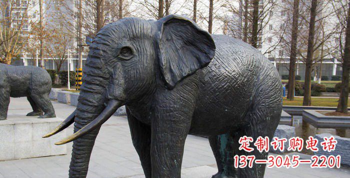 贵阳精致精美的大象公园雕塑