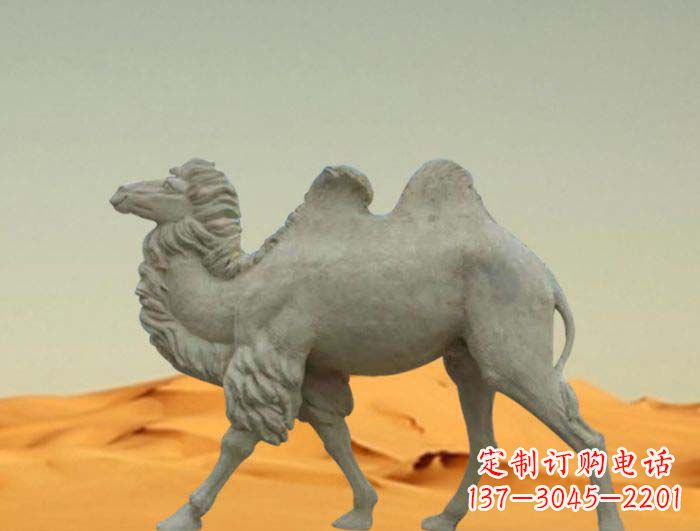 贵阳欣赏大自然的优美，惊叹于实用的骆驼雕塑