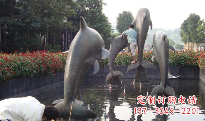 贵阳铜雕海豚——传递着海洋之美的艺术作品