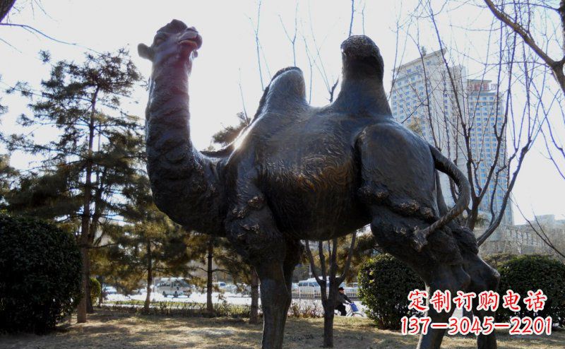 贵阳优美雕刻骆驼铜雕塑