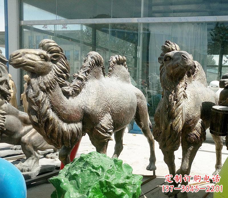 贵阳公园骆驼动物铜雕 (2)