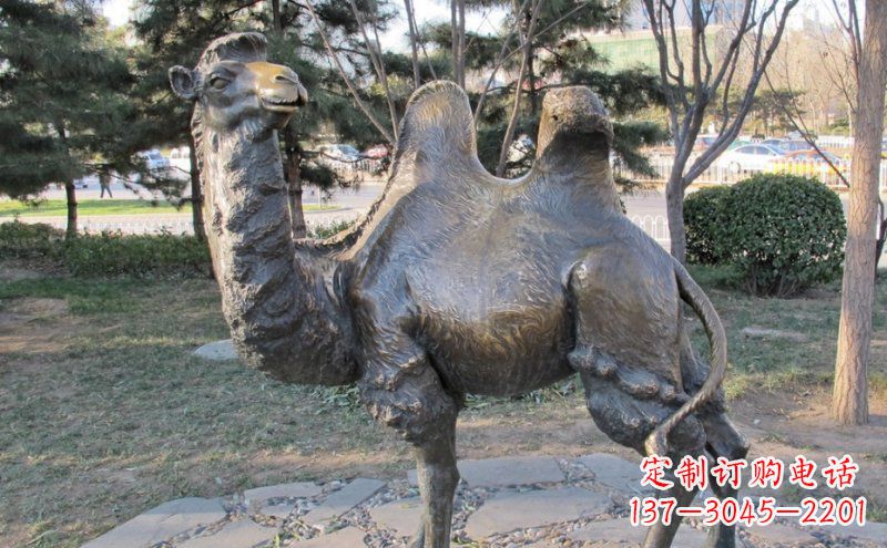 贵阳铜骆驼雕塑——浓缩自然美丽