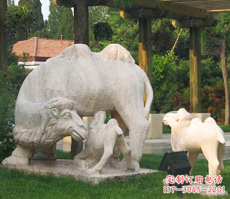 贵阳公园骆驼一家石雕