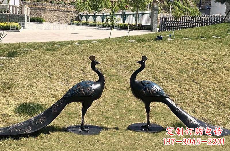 贵阳公园青铜孔雀雕塑