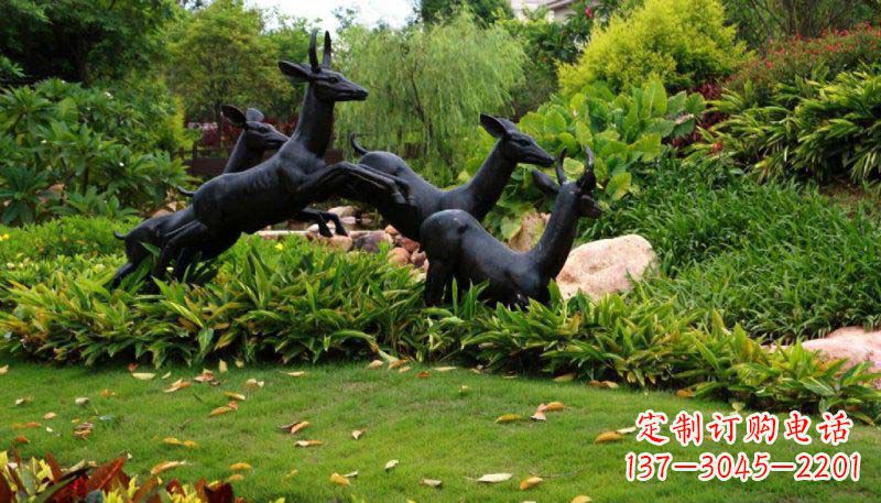 贵阳活力无限的动物铜雕