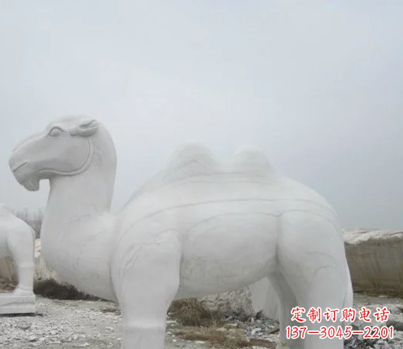 贵阳汉白玉骆驼石雕塑，装点家居空间