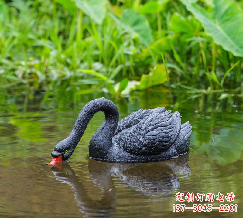 贵阳黑天鹅雕塑，水塘装饰摆件