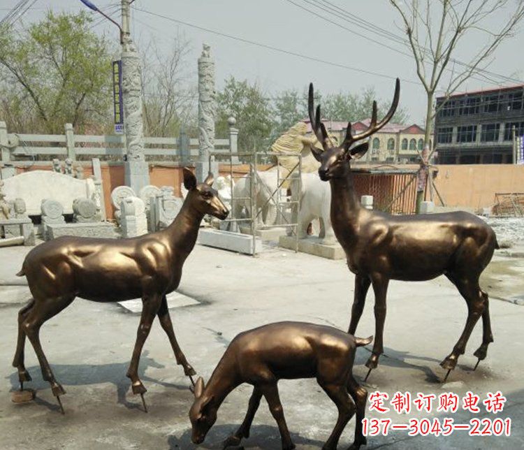 贵阳感受自然魅力的动物铜雕