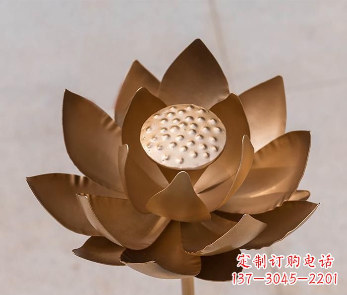 贵阳铜雕景观荷花