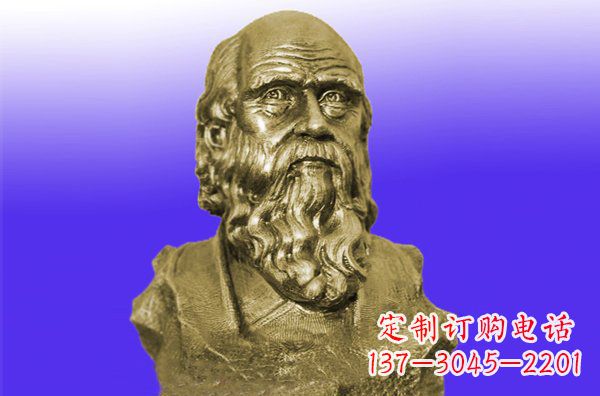 贵阳托尔斯泰头像铜雕