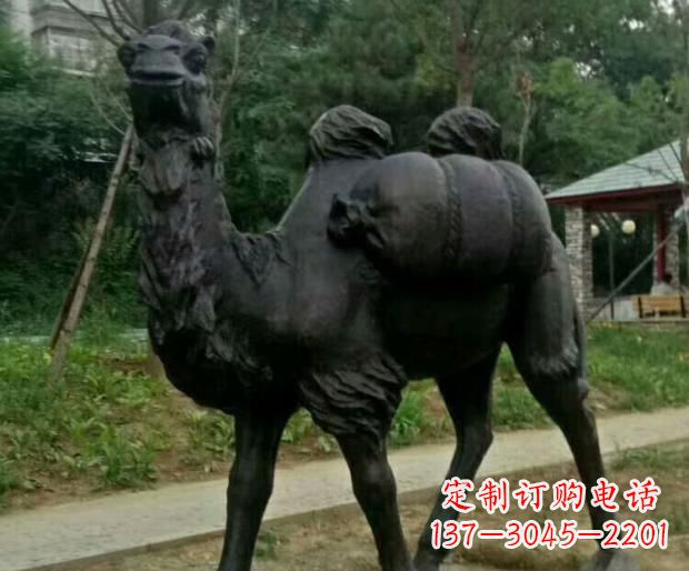 贵阳驮行李的骆驼铜雕