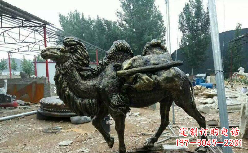 贵阳驮着东西的骆驼铜雕