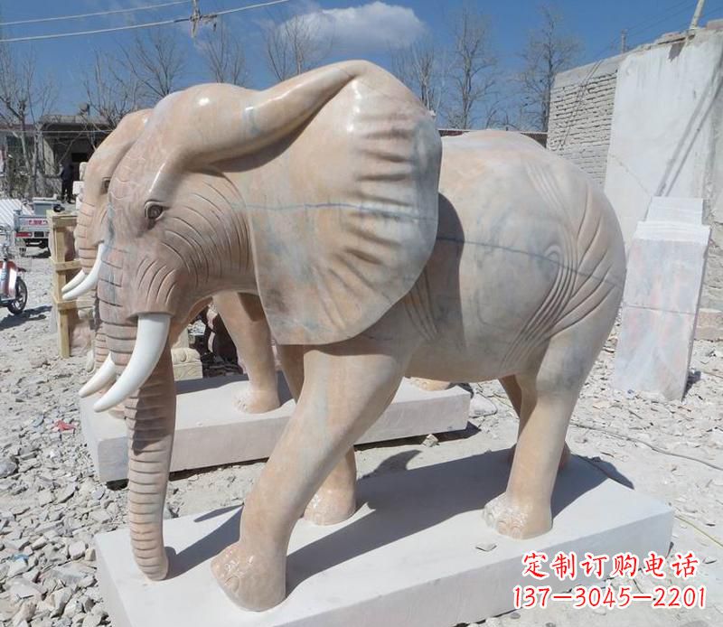 贵阳晚霞红卷鼻大象