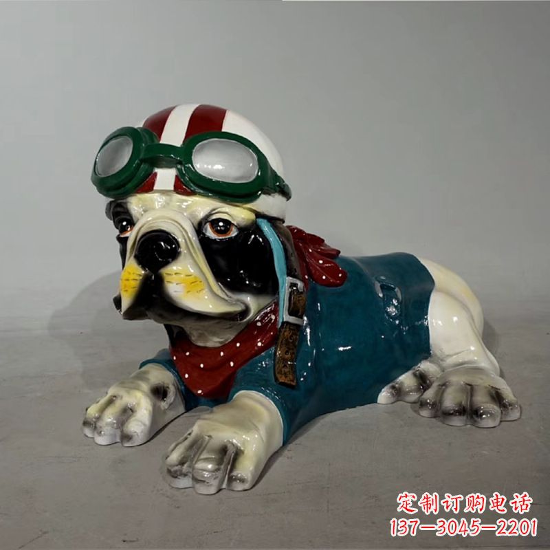 贵阳宇航员斗牛犬