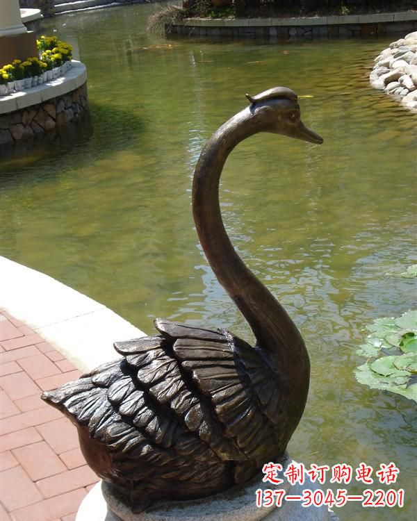 贵阳铸铜天鹅喷泉雕塑 (2)